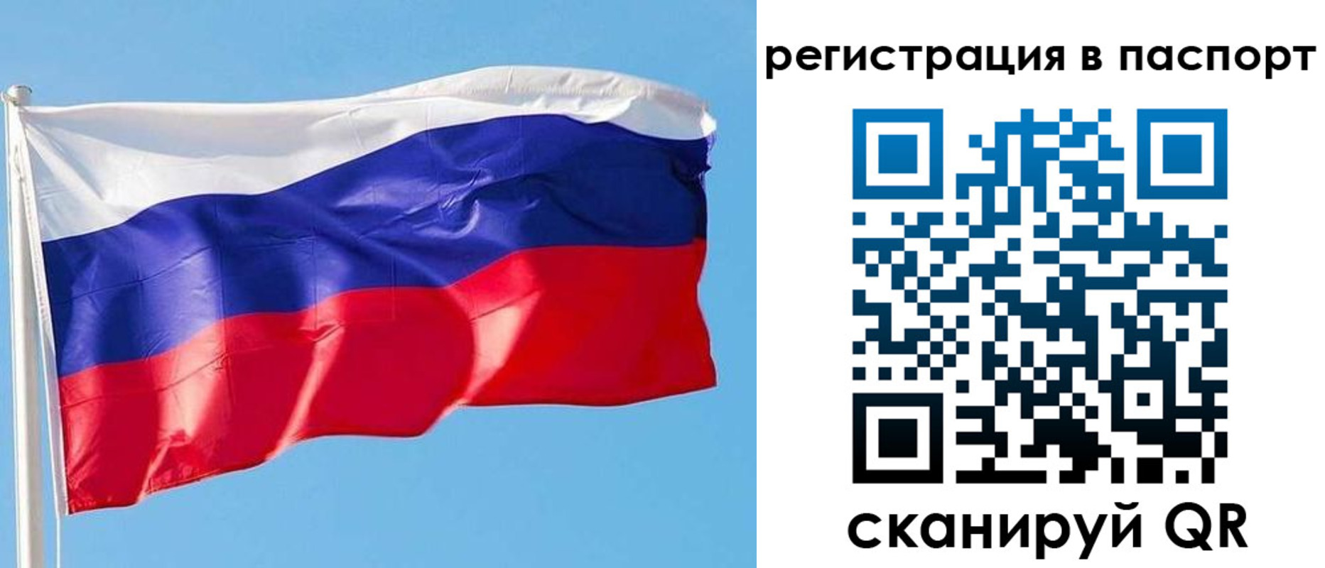 прописка законно в Щиграх
